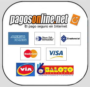 pago en línea, recaudo impuestos